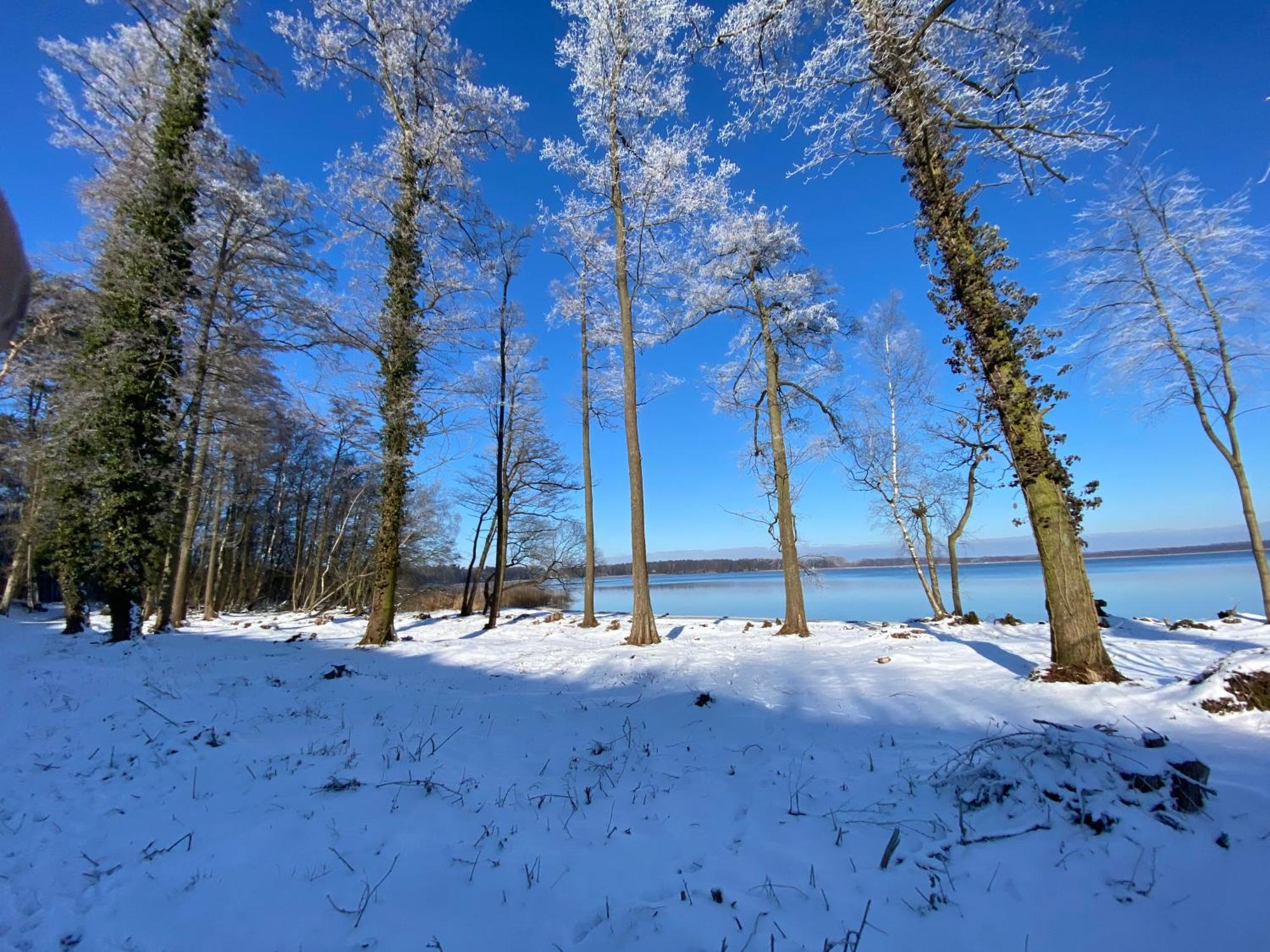 Wolfshotel Am Arendsee Arendsee  Bagian luar foto